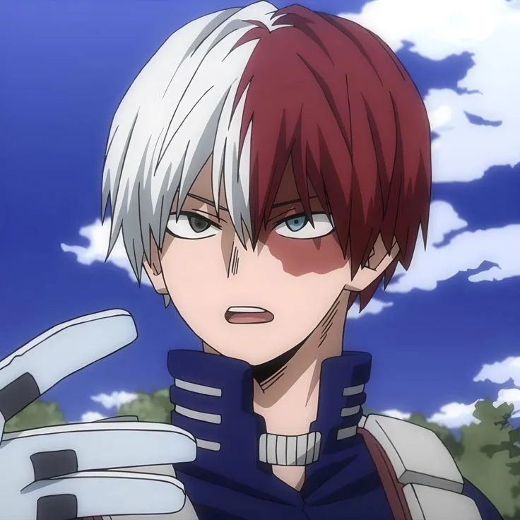 Shoto Todoroki  Avatar