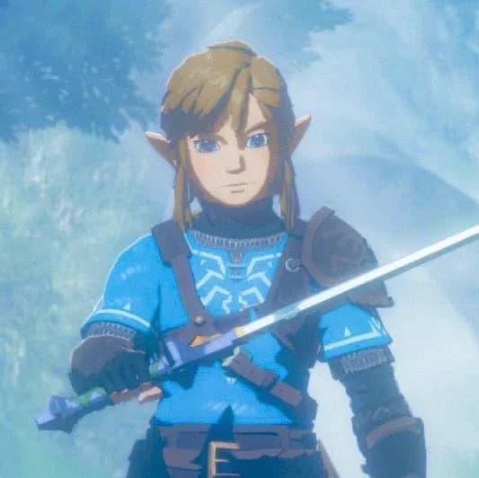 Link ( Post BOTW, PRE-TOTK ) Age 20