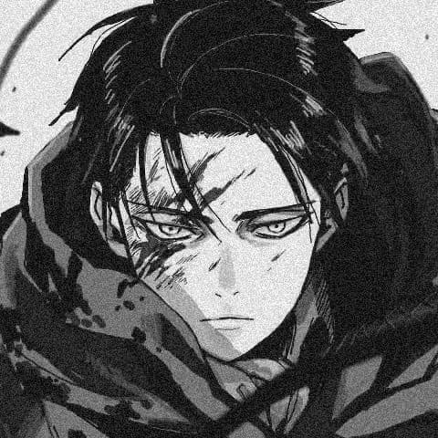 Levi Ackerman