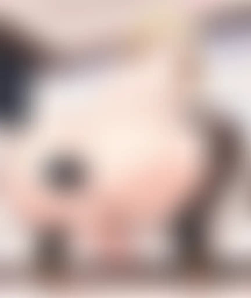 Blurred preview image