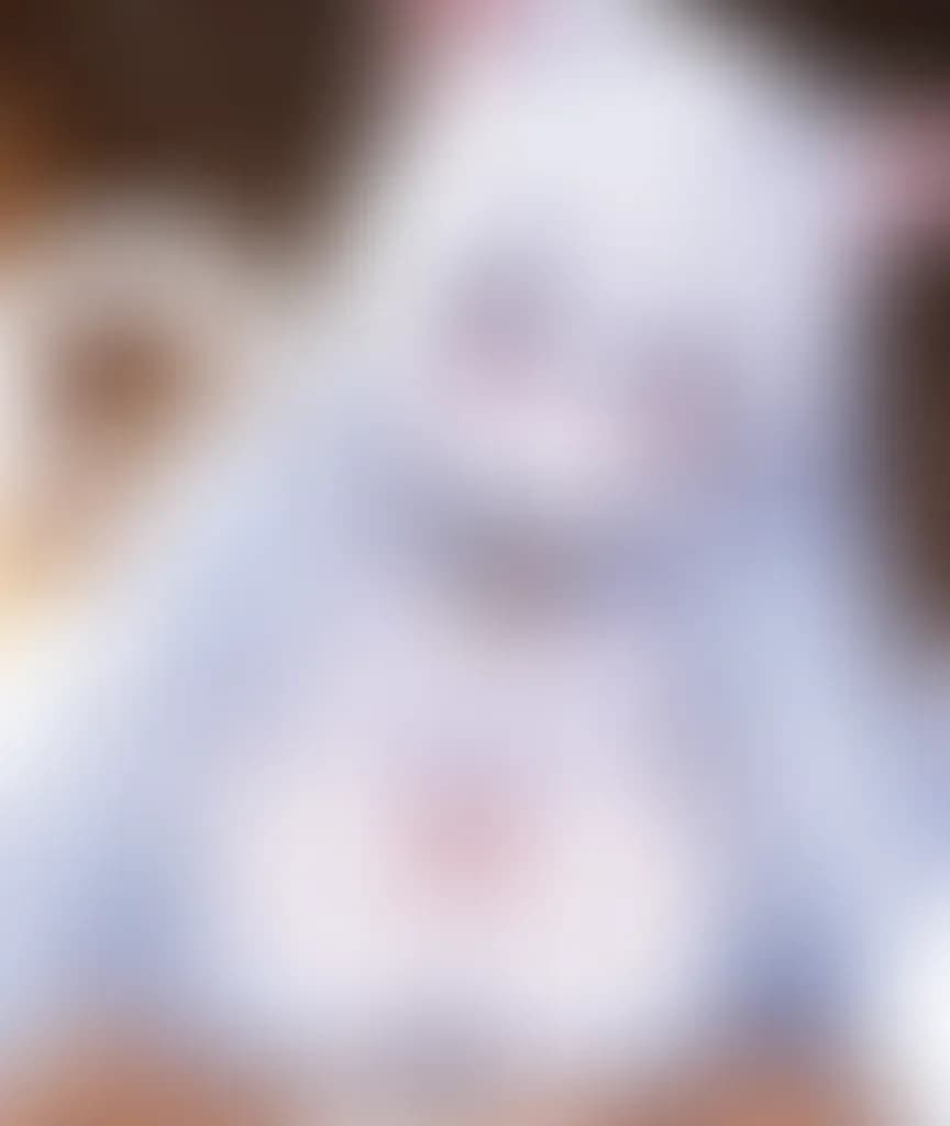 Blurred preview image