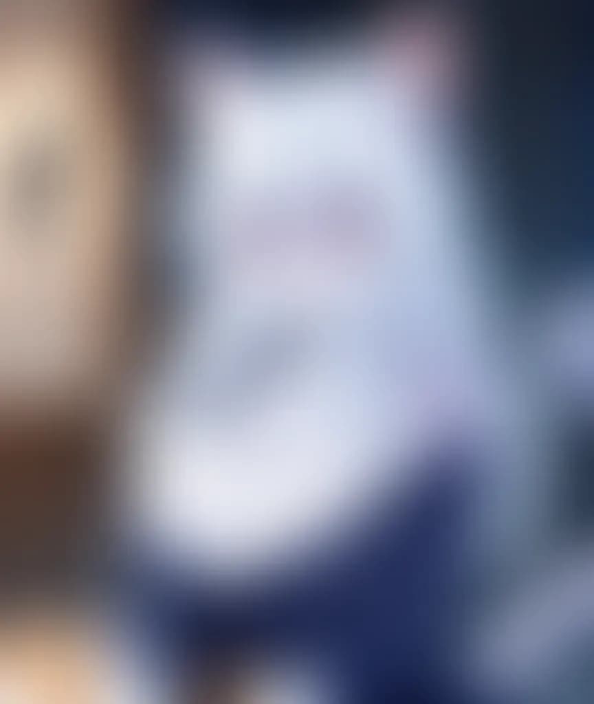 Blurred preview image