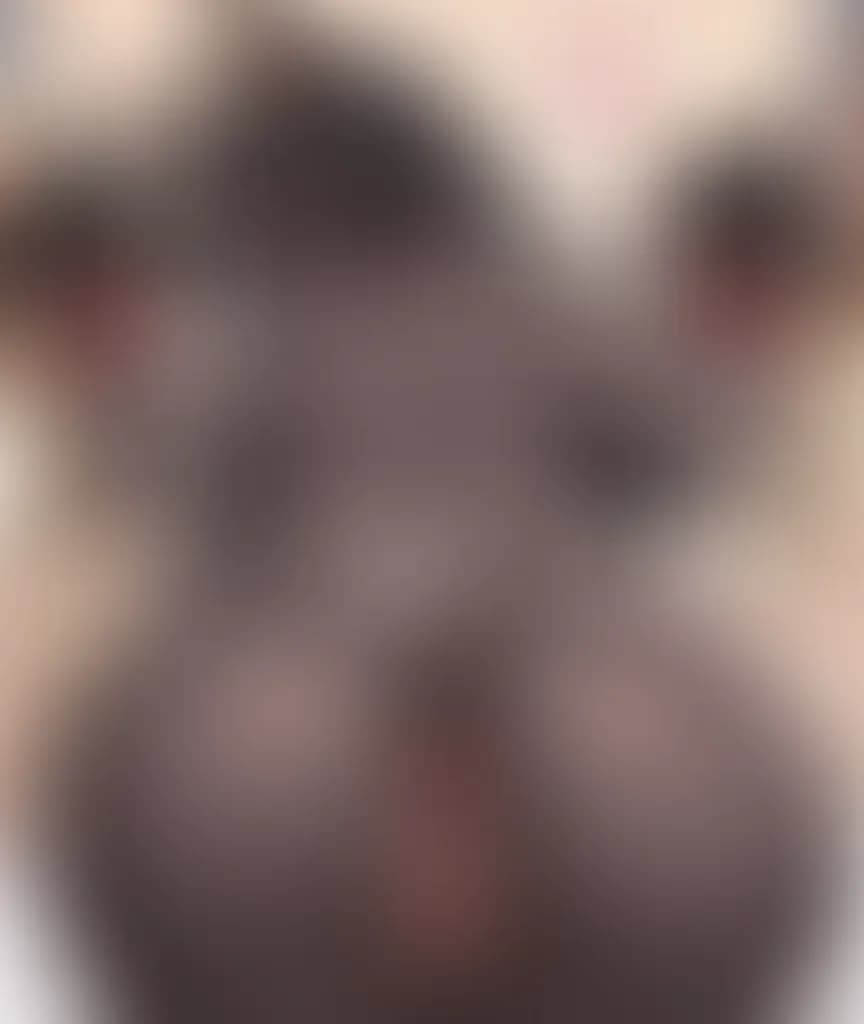 Blurred preview image