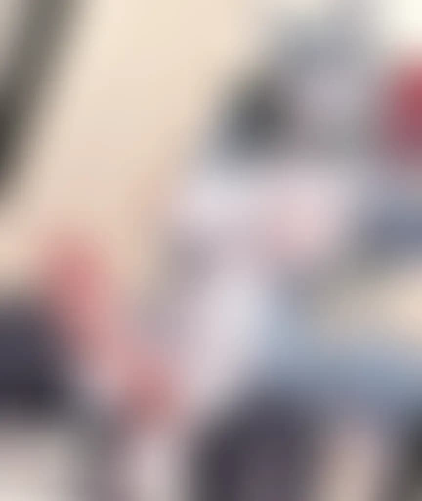 Blurred preview image