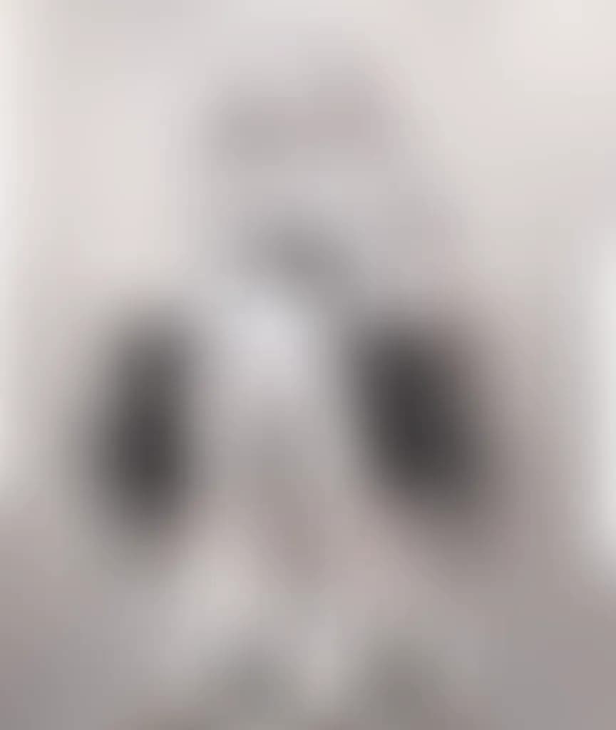 Blurred preview image