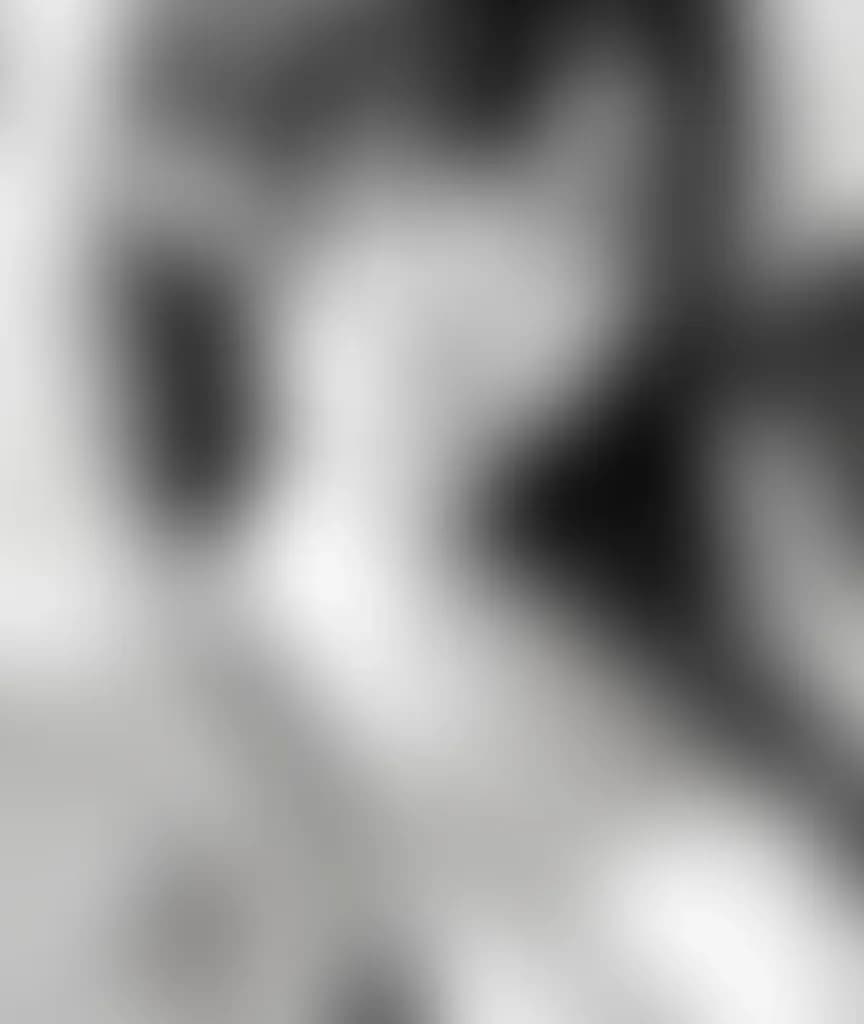 Blurred preview image